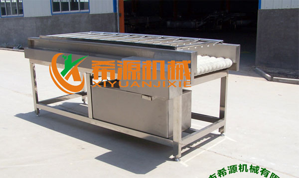 根莖類毛刷清洗機